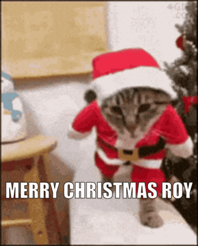 RoyChristmasHolidayGIF.gif