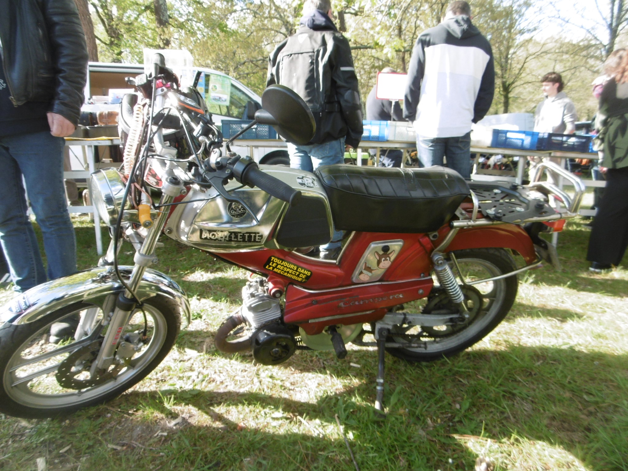 P1000733.JPG