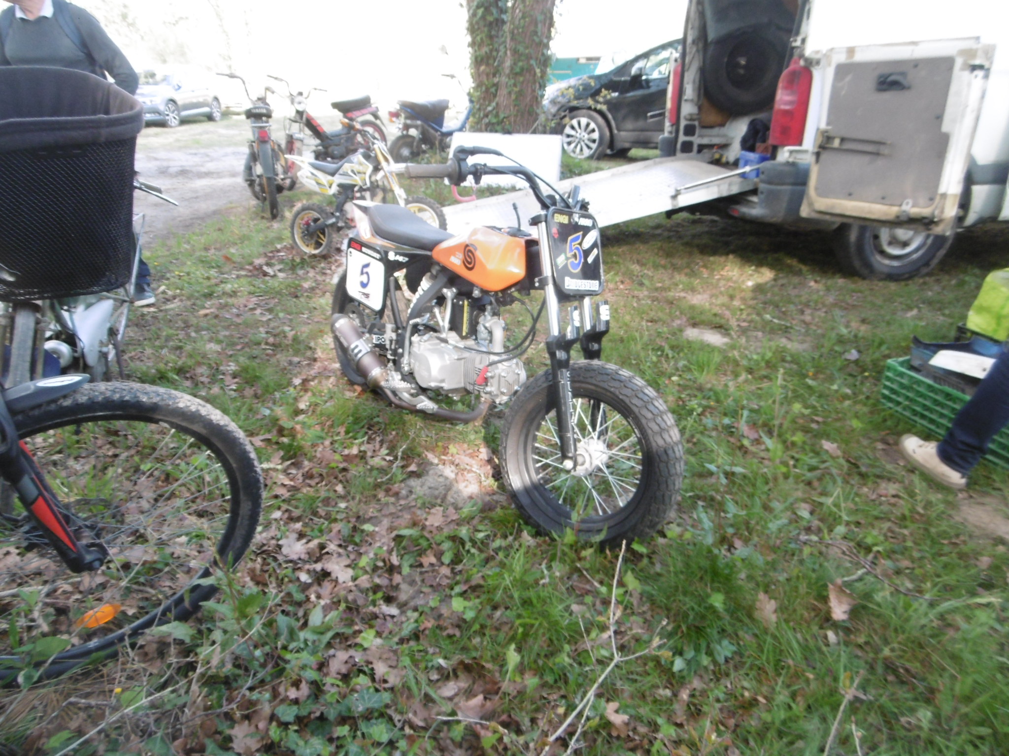 P1000734.JPG