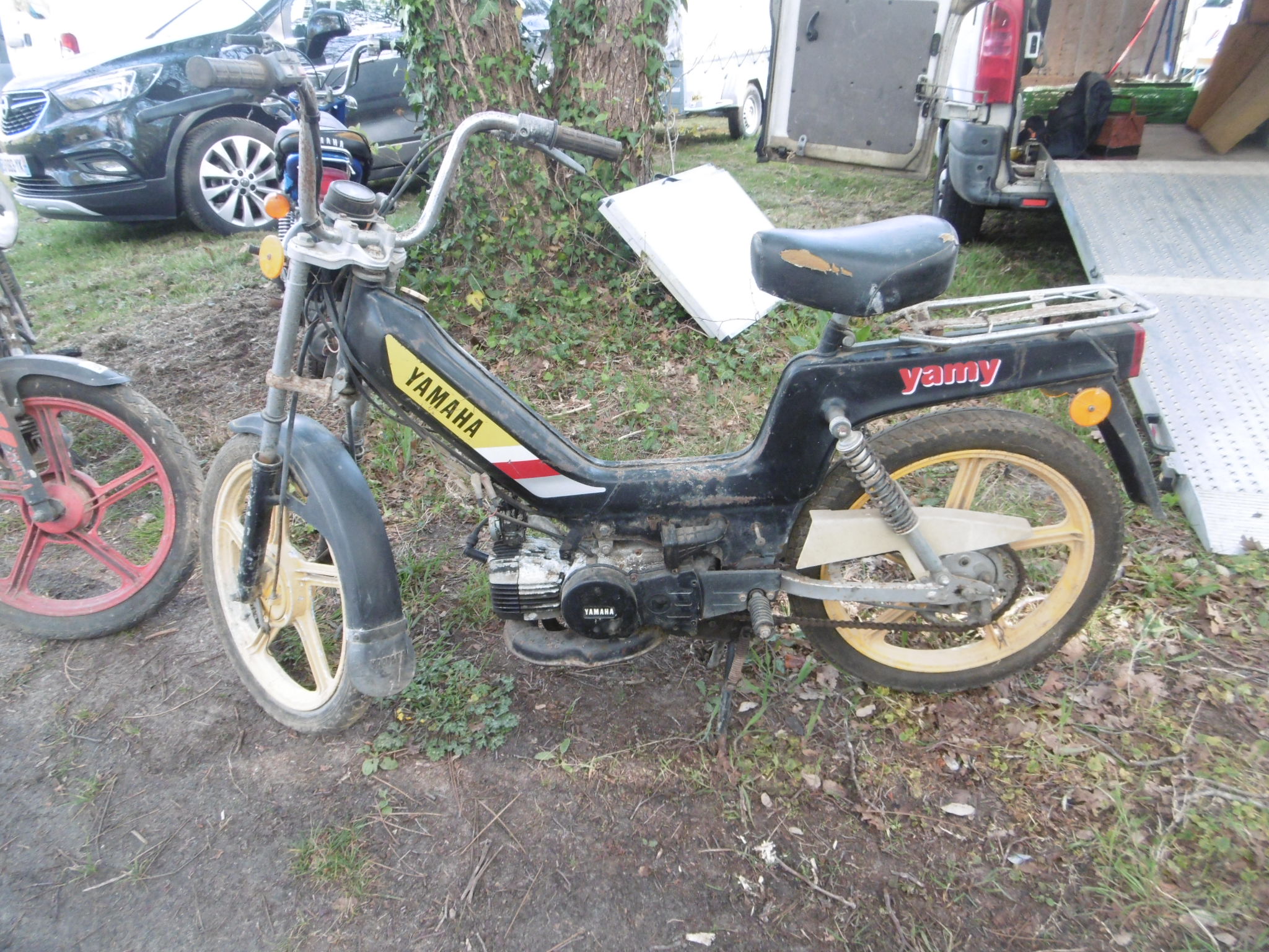 P1000735.JPG