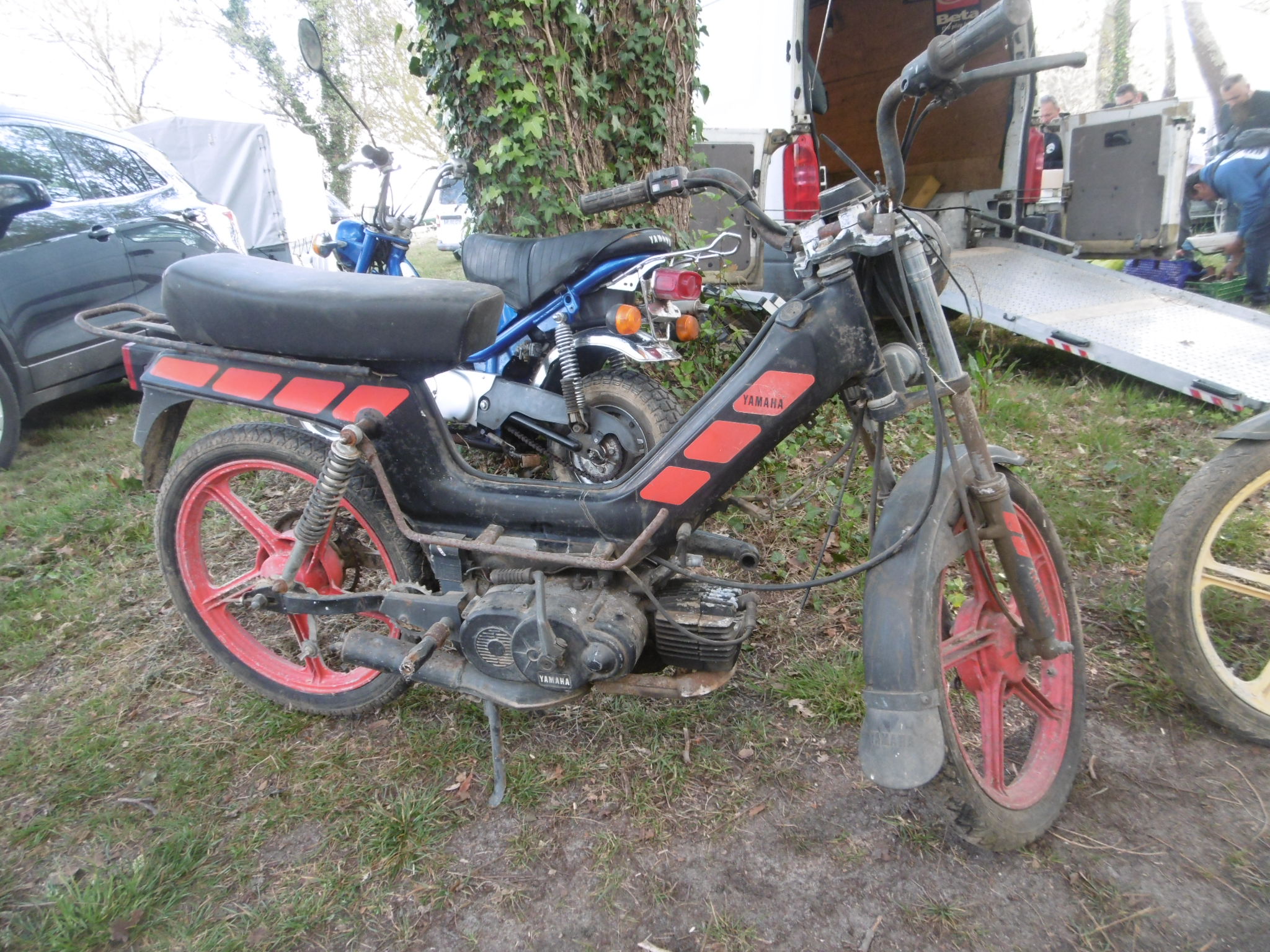 P1000736.JPG