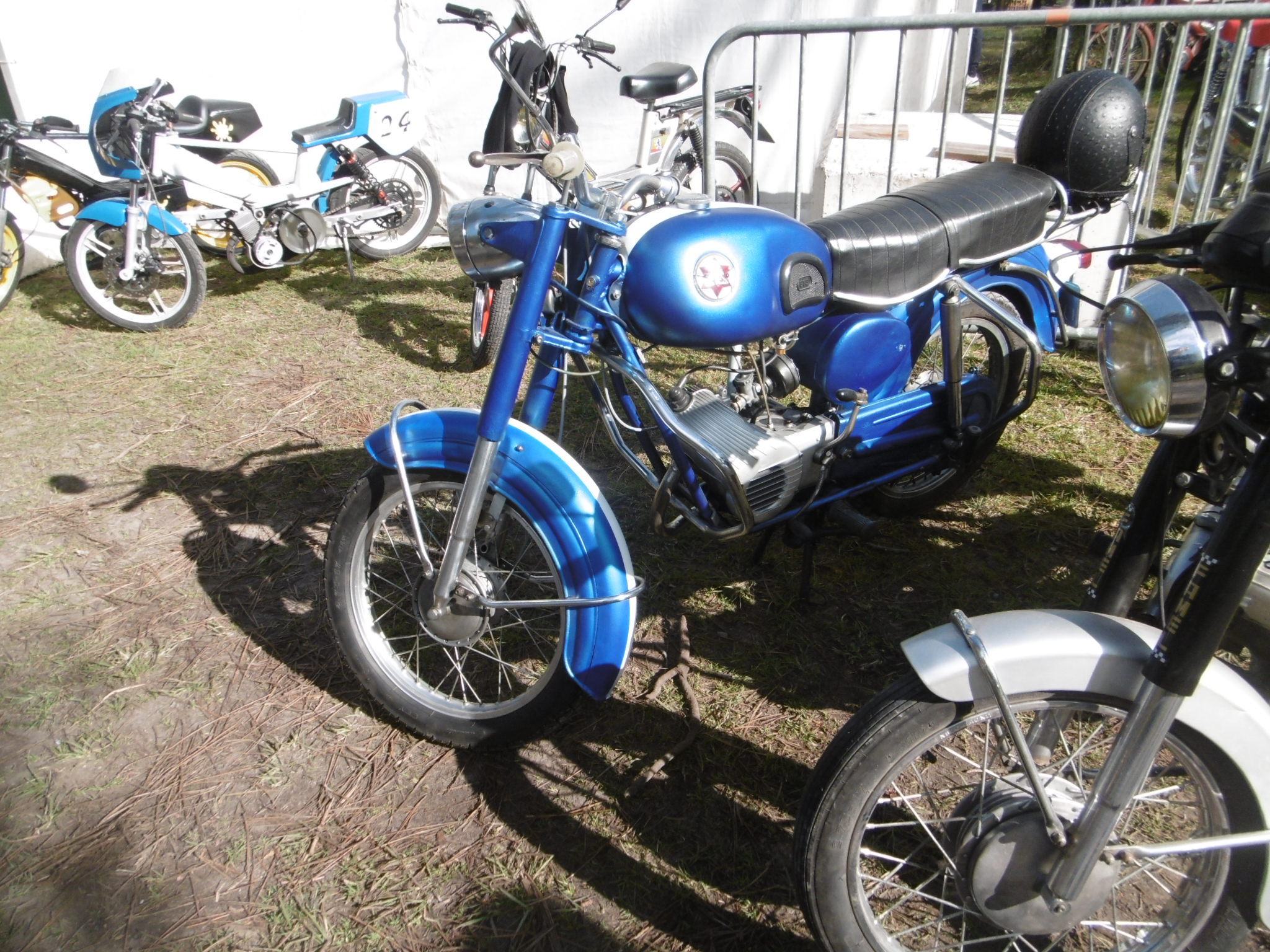 P1000755.JPG